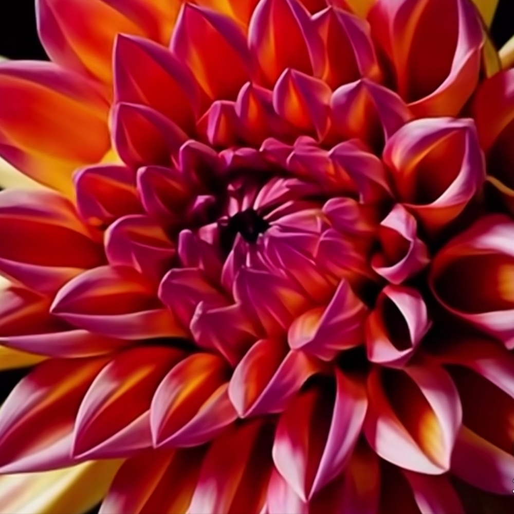Have A Wonderful Day